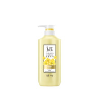 舒蕾姜花香氛强韧洗发露 480g CP2511030008