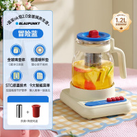 蓝宝(BLAUPUNKT)玻璃养生壶+茶漏+炖盅BP-HP06 冒险蓝
