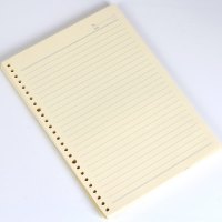 晨光 活页本26孔B5本芯80页APY9A045 单本