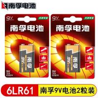 南孚电池 9VA碱性电池 2粒/卡