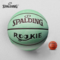 斯伯丁(SPALDING)儿童篮球小学生青少年5号幼儿园专用花式蓝球77-404Y5