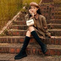 天美意天美意袜靴时尚女鞋显瘦百搭弹力靴长靴女靴NTX11DG2