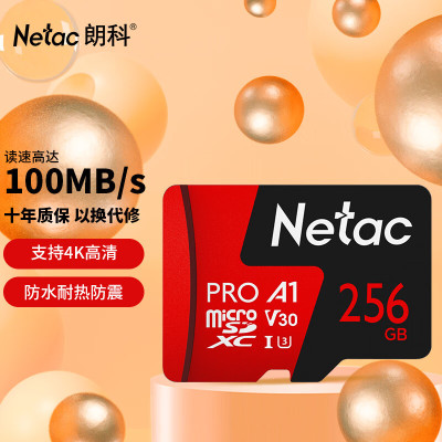 朗科(Netac)256GBTF(MicroSD)存储卡A1U3V304K高度耐用行车记录仪&监控摄像头内存卡