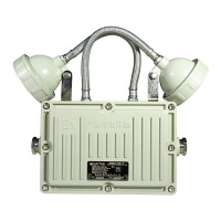 凯瑞(Cary)KLYJ20322*5WIP65ExdeIICT6Gb220V6000KLED防爆应急灯(计价单位:盏)