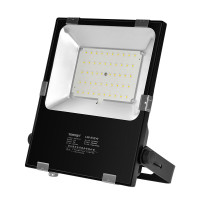 通明 ZY8106-L50 50W 5000K LED照明灯 1.00 个/套 (计价单位:套) 黑色