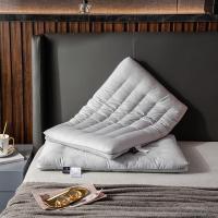 婵思 ZXQTDC2000046 48*74cm 低枕 800克 全棉护颈低矮扁 低枕 枕芯 1.00 件/个 (计价单