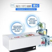 海尔SC/SD-568CX568升卧式冷藏冷冻转换展示柜单位:台