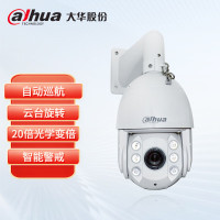大华(dahua) DH-SD6C80FB-GN 360度旋转光学变焦 130万网络 监控智能球机 (计价单位:台) 白