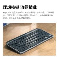 Logitech罗技MX KEYS MINI商用键鼠套装黑色