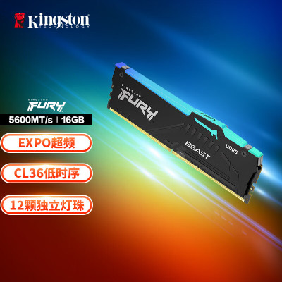 金士顿 (Kingston) FURY 16GB DDR5 5600 台式机内存条 Beast野兽系列 RGB灯条 骇客