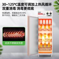 圣托RTP500-B1热风循环消毒柜[B1-单]旋钮∣五层标配层架 单位:台