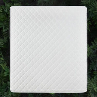 红秀世纺 HXGD006 100*195*5cm 椰棕/乳胶 床垫 1.00 件/个 (计价单位:个) 白色