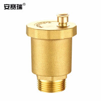安赛瑞 430605 自动排气阀 DN15 4分 排气阀 铜铜色