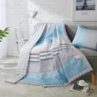 伊伊爱 LTL-17XK-XB004 150*200cm 全棉条纹格子空调被子 被子 1.00 件/条 (计价单位:条)