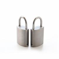 辉华千禧兔 HH-HZN37 弧形 挂锁 1.00 个/把 (计价单位:把) 银色