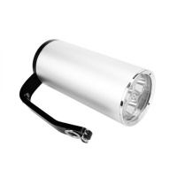 深照紫光 FD-FBSI350/A IP66 消防员照明灯具 1.00 盏/套 (计价单位:套) 银色