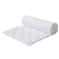 奥赛孚 ASF-CD1220 120*200cm 床垫保护垫 垫子 1.00 件/条 (计价单位:条) 白色