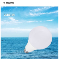 鄂远 EY-D365 7W 光通量1000 IP30 5700K LED灯泡 1.00 个/盏 (计价