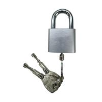 中犀 ZX-23 40mm 半圆钥匙 通开不锈钢 挂锁 1.00 个/把 (计价单位:把) 银色