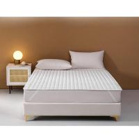 王朝时光 WCSGDZRZ-03 180cm*200cm 垫子褥子 (计价单位:件) 白色