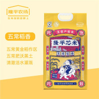 袁谷隆平芯米 大米 新米五常稻香 东北大米GB/T19266稻花香米粳米 五常稻香5kg