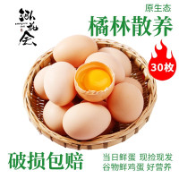 泓花会橘林散养谷饲土鸡蛋 30枚彩箱顺丰