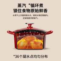 康巴赫铸铁珐琅焖炖锅 KGF-D22A 22cm(樱桃红)3.5L