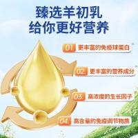 臻牧球蛋白羊奶粉300g*2罐装羊初乳0蔗糖去膻高钙益生菌