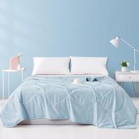 博洋(BEYOND)被子被芯纤维被子双人四季春秋被冬被厚薄被子沪大豆纤维夏凉被夕雾150*210cm