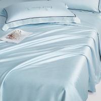 博洋(BEYOND)夏被印花抑菌空调被子被芯宿舍可水洗薄被子100支天丝夏凉被薄荷220*240cm