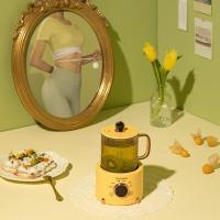 大宇(DAEWOO)迷你养生办公室家用多功能养生杯Y01奶酪