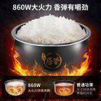 九阳4L大容量低糖电饭煲电饭锅智能预约多功能大功率土灶还原儿时饭香[土灶原釜-轻食低糖]4L大容量