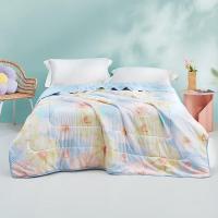 罗莱(LUOLAI)TG夏被空调被花舞忆梦花漾人生经典夏被悦享绵柔薄荷花锦如梦夏被150*200cm