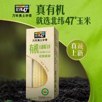 北纬47°白甜糯有机玉米4斤(200g*10根)东北鲜黏糯玉米棒真空包装早餐苞米