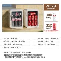 新飞小冰箱迷你车载冰箱宿舍车家用冷藏小型冷暖箱车家两用[双核皓月白]数显20L