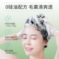 雨洁(RACLEN)啄木鸟去屑洗发水控油蓬松洗发露持久清爽柔顺洗发液去油洗发水200ml*2