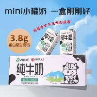 西域春新疆原产黑砖全脂纯牛奶200g*20盒整箱mini小奶罐*20盒