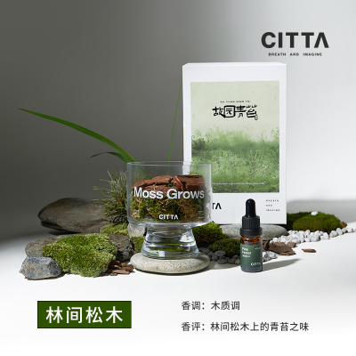 CITTA/西苔 松木青苔香薰礼盒草本调-露水青苔