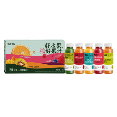 乐源 混合果汁礼盒255ml*10(橙汁芒果汁猕猴桃汁树莓蓝莓汁沙棘汁各2瓶)