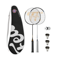 飞尔顿 全民羽毛球拍混拍套装 FED-YP-01-001-ZH-002球拍2个+球3个+包