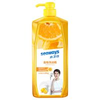 水卫仕(SHUIWEISHI) 洗洁精带泵头1.35kg