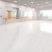 英辉(INVUI)舞蹈 地胶室内PVC地垫教室芭蕾防滑加厚塑胶地板 光面平板3.5mm 1.8米*20米(36平)