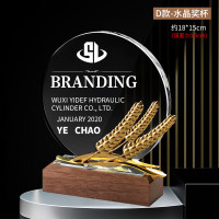 奖杯 水晶奖杯定制