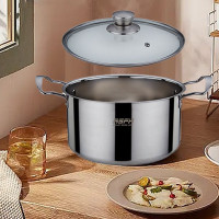 乐仕菲斯雅乐汤锅RS2207(22cm)