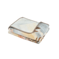 水星家纺家用床上用品法兰绒毯DH 秋日温情法兰绒毯150cm×200cm