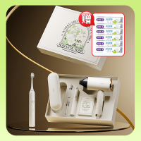 艾优T13-A个人护理高端礼盒