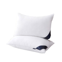 喜芙妮 XFN-1117 48cm*78cm亲肤棉防羽布 枕芯 1 件/件白色