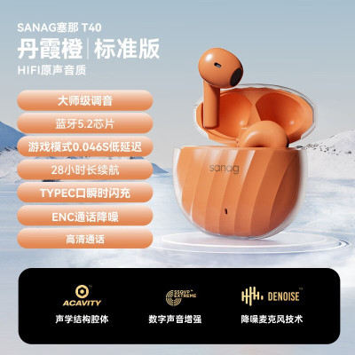 sanag 塞那蓝牙耳机无线半入耳式 T40S 升级版-丹霞橙 HIFI360°绕环音