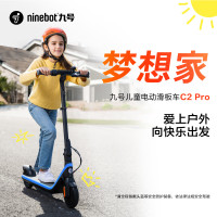 九号 C20pro 电动滑板车儿童学生男女成人迷你便携可折叠双轮电动车平衡车体感车