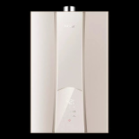 (Haier)海尔燃气热水器 JSQ31-16R5BW